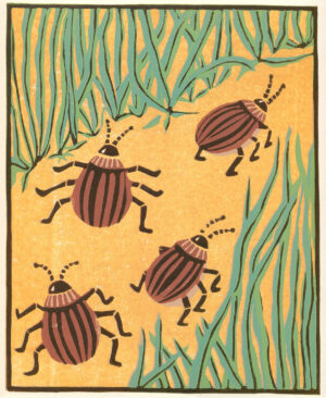 Original Fine Art Print for Kids - Four Little Beetles